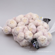 China wholesale cheap price Whole Fresh Garlic Bulbs